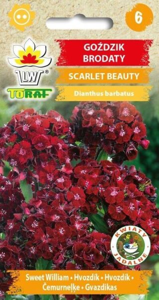 Neļķes studentu Scarlet Beauty 0.5g