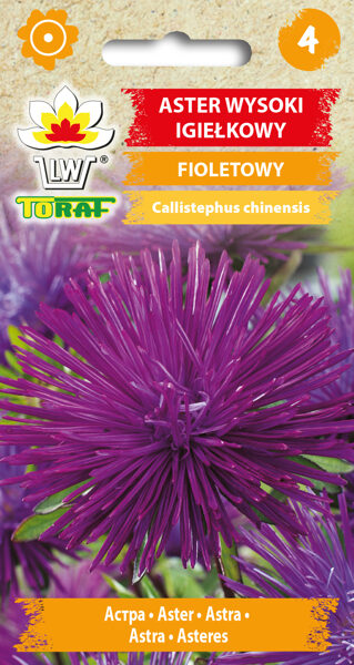 Asteres adatu Wioletta 1g. Asteru sēklas.
