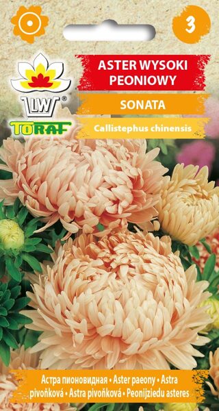 Asteres peoniju Sonata 1g. Asteru sēklas. 