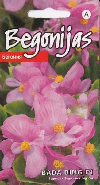 Begonijas - leduspuķes Bada Bing F1 15 sēklas. Begoniju sēklas.