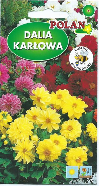 Dālijas zemās maisījums. 2 g