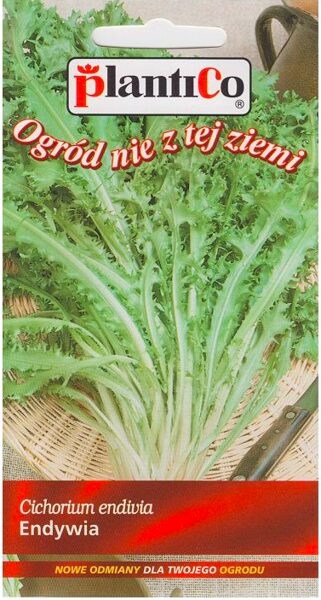Endīvija ROMANESCA DA TAGLIA 0,2g. Endīviju sēklas.