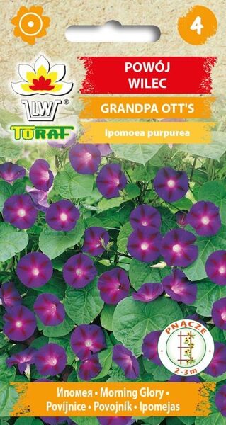 Ipomeja Grandpa O`tts 2g. Ipomeju sēklas.