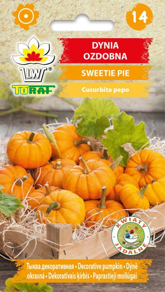 Ķirbīši mazie Sweetie Pie 2g. Ķirbju sēklas.