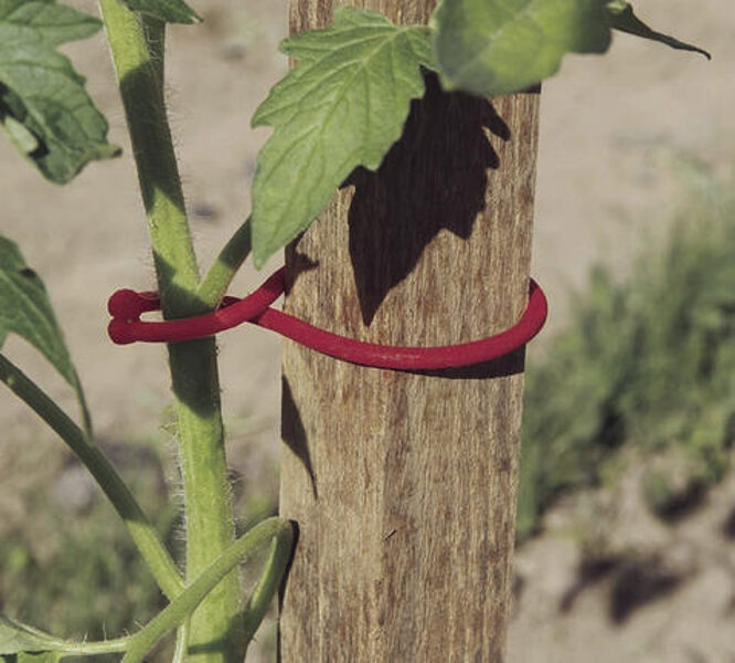 Klipši augu piestiprināšanai. 25gb