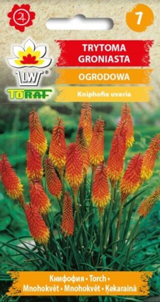 Knifofija ķekarainā  0.5g