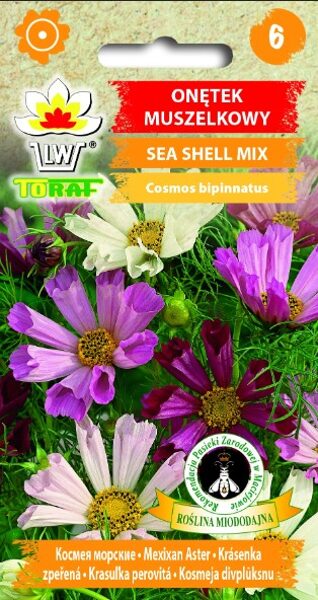 Kosmejas divplūksnu Sea Shell 0.5g. Kosmeju sēklas.
