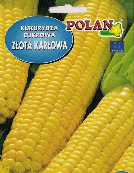 Kukurūza saldā Zlota Karlowa 20g. Kukurūzas sēklas.