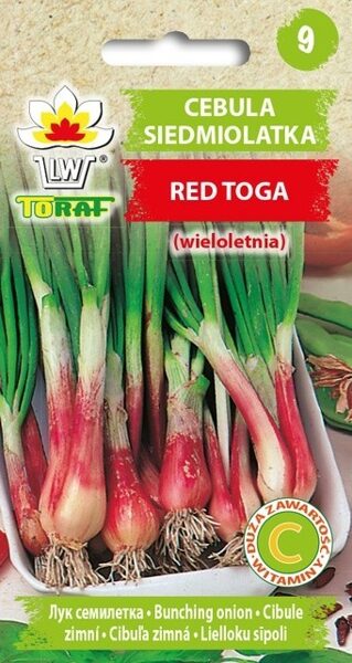 Lielloku sīpoli Red Toga 1g. Lielloku sīpolu sēklas. 