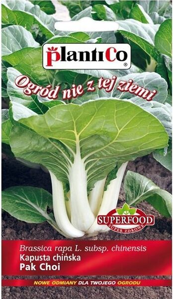 Pakčoi kāposti 0.1g. Ķīnas kāpostu sēklas.