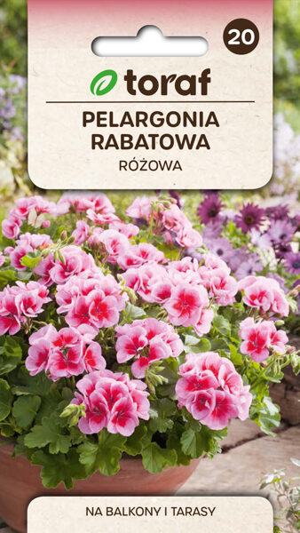 Pelargonijas zonālās rozā 0.05g. Pelargoniju sēklas.