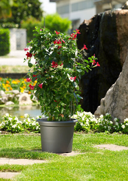 Puķu pods Geo Antracīts 30cm. 1gb