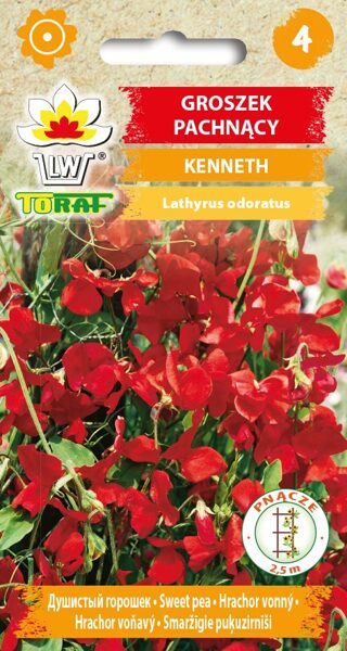 Puķu zirņi smaržīgie Kenneth 3g. Puķu zirņu sēklas.