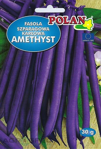 Pupiņas sparģeļpupiņas Amethyst 30g. Sparģeļpupiņu sēklas.