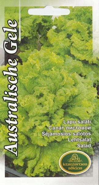 Salāti lapu Australische Gele 2g. Salātu sēklas.