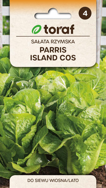 Salāti romiešu Parris Island cos 1g. Salātu sēklas. 