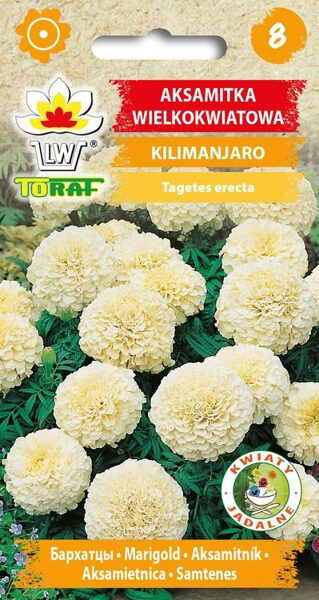 Samtenes augstās Kilimanjaro Crem 0.3g. Samteņu sēklas.