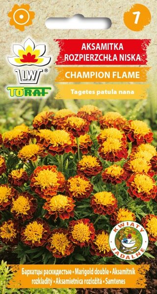Samtenes zemas Champion flame 0.5g. Samteņu sēklas.