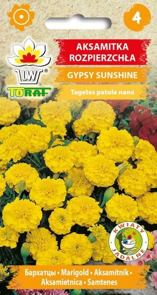 Samtenes zemās Gypsy Sunshine 1g. Samteņu sēklas.