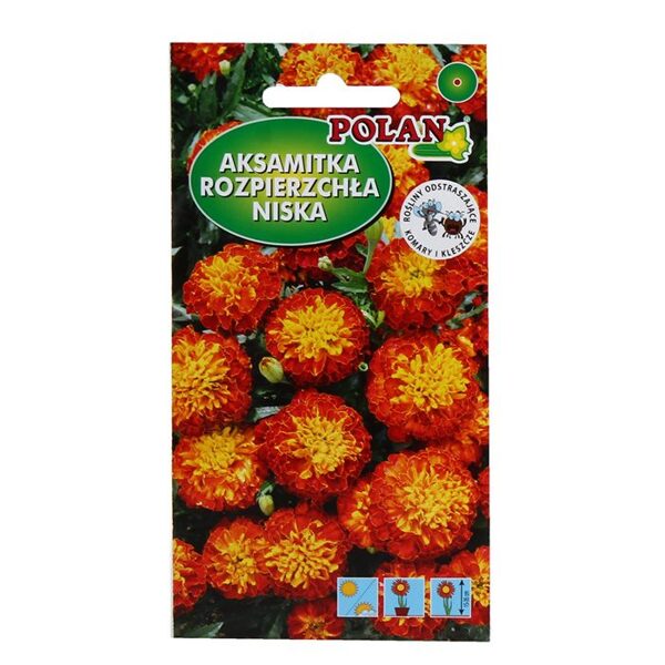 Samtenes zemās Mahagonijs. 1g