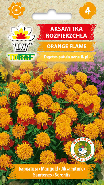 Samtenes zemās Orange Flame 1g. Samteņu sēklas.