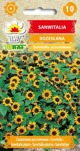 Sanvitālija 0.5g. Sanvitāliju sēklas.