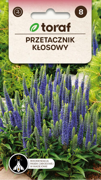 Vārpu veronikas zilas 0.1g. Vārpu veroniku sēklas.