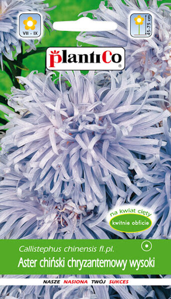 Asteres krizantēmu gaiši zilas 1g. Asteru sēklas.