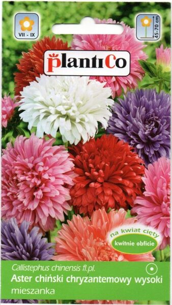 Asteres krizantēmu mix 1g. Asteru sēklas.