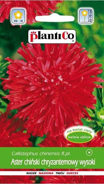 Asteres krizantēmu sarkanas 1g. Asteru sēklas.