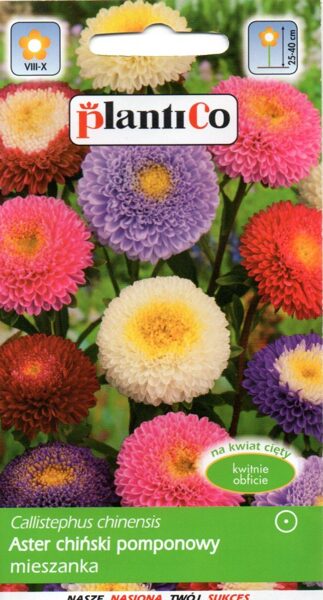 Asteres pomponu mix. 1g