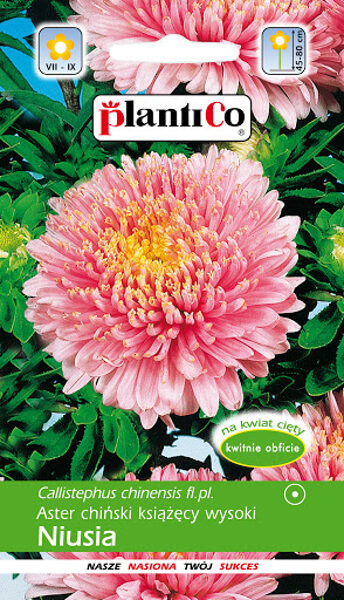 Asteres princešu lašrozā Niusia. 1g