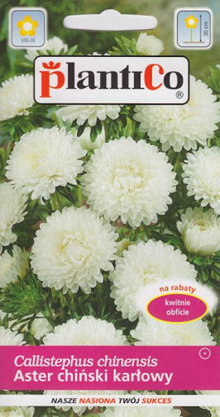 Asteres zemās peoniju baltas Albit. 1g