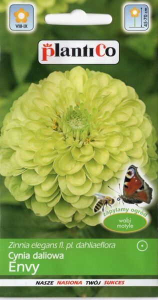 Cinnijas dālijziedu gaiši zaļas Envy. 1g