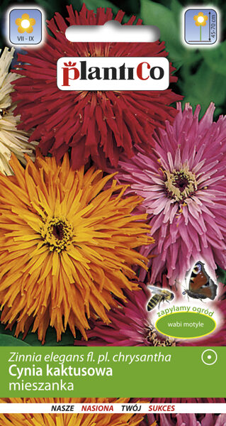 Cinnijas krizantēmu kaktusziedu mix. 1g