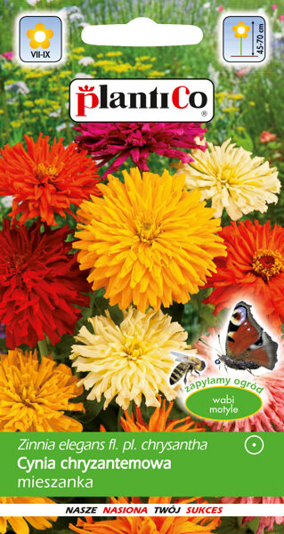 Cinnijas krizantēmu mix Glamour Girls. 1g