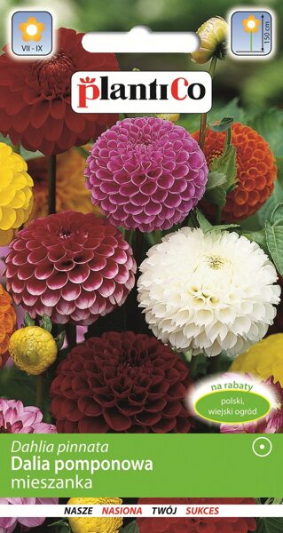 Dālijas pomponziedu mix. 1g