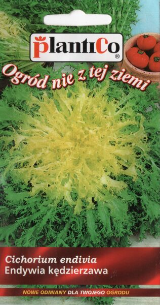 Endīvijas RICCIA COUR D ORO 0,2g. Endīviju sēklas.