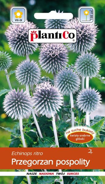 Ežziede agstā tumši zila. 2g