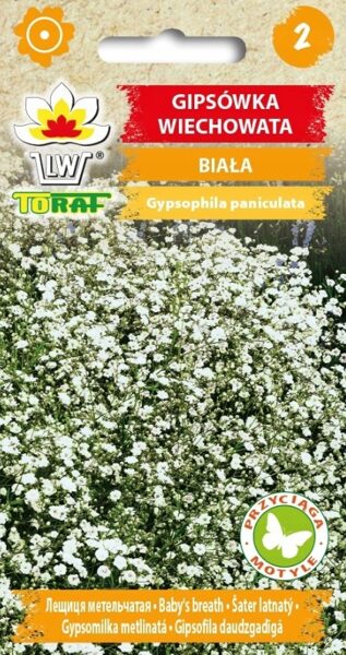 Gipsofīla daudzgadīga  0.5g