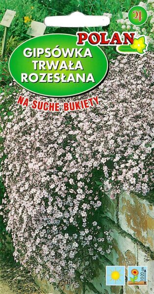 Gipsofīla ložņu rozā. 1g