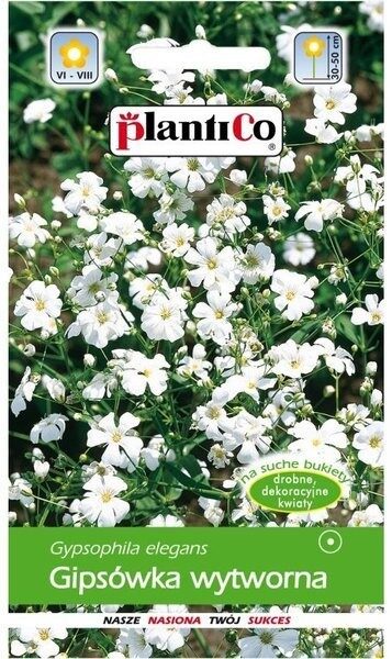 Gipsofīlas viengadīgas baltas. 1g 