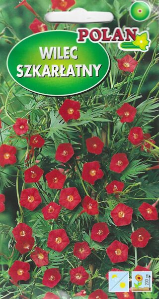 Ipomejas ciprešu purpura. 1g