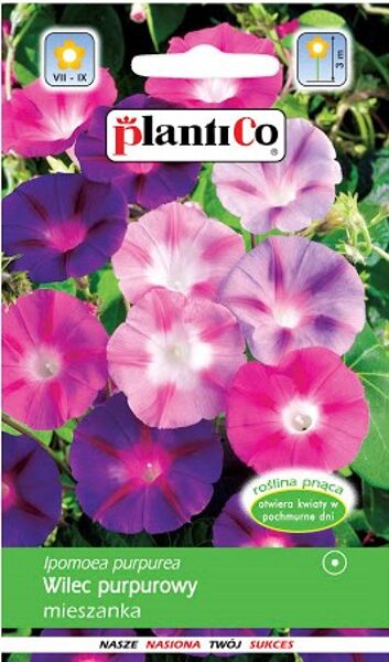 Ipomejas purpura šķirņu maisījums. 3g