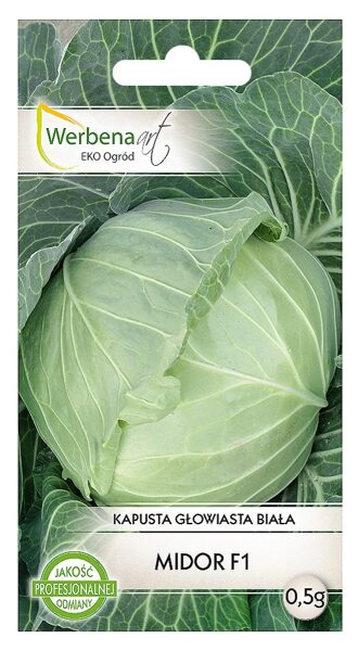 Kāposti galviņkāposti Midor F1 0,5g. Kāpostu sēklas.