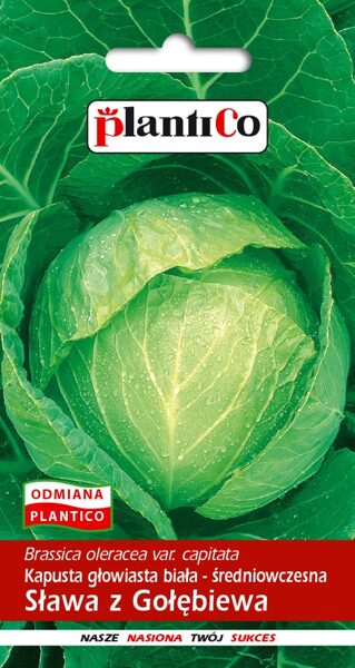Kāposti galviņkāposti Slawa z Golebiewa 2g. Kāpostu sēklas. 
