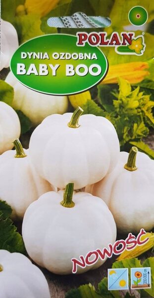 Ķirbīši dekoratīvie BABY BOO baltie 1,5g. Dekoratīvo ķirbju sēklas.