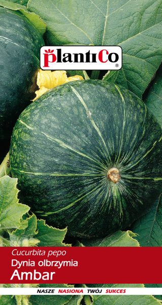 Ķirbji Ambar 5g. Ķirbju sēklas.