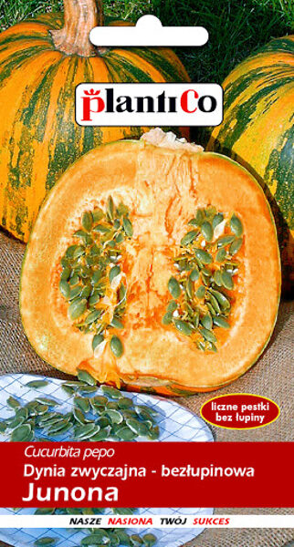 Ķirbji kailsēklu Junona 3g. Ķirbju sēklas.