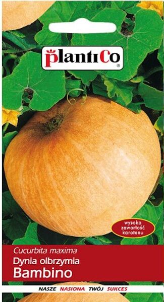 Ķirbji Bambino 5g. Ķirbju sēklas.